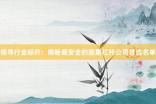 探寻行业标杆：揭秘最安全的股票杠杆公司首选名单