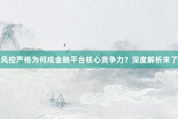 风控严格为何成金融平台核心竞争力？深度解析来了