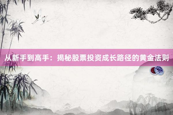 从新手到高手：揭秘股票投资成长路径的黄金法则