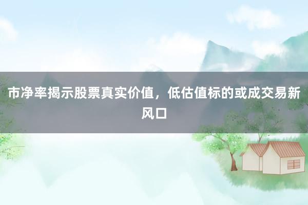 市净率揭示股票真实价值，低估值标的或成交易新风口