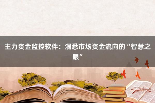 主力资金监控软件：洞悉市场资金流向的“智慧之眼”