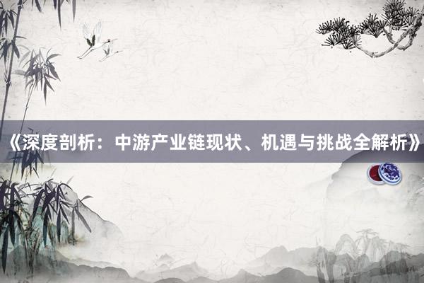 《深度剖析：中游产业链现状、机遇与挑战全解析》