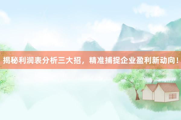 揭秘利润表分析三大招，精准捕捉企业盈利新动向！