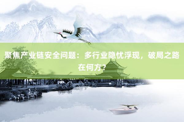 聚焦产业链安全问题：多行业隐忧浮现，破局之路在何方？