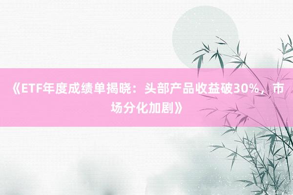 《ETF年度成绩单揭晓：头部产品收益破30%，市场分化加剧》