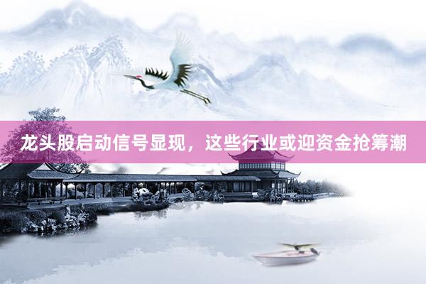 龙头股启动信号显现，这些行业或迎资金抢筹潮