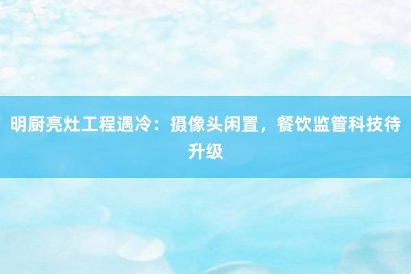 明厨亮灶工程遇冷：摄像头闲置，餐饮监管科技待升级