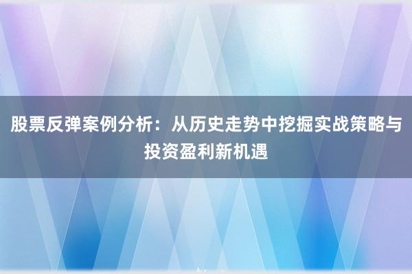 股票反弹案例分析：从历史走势中挖掘实战策略与投资盈利新机遇