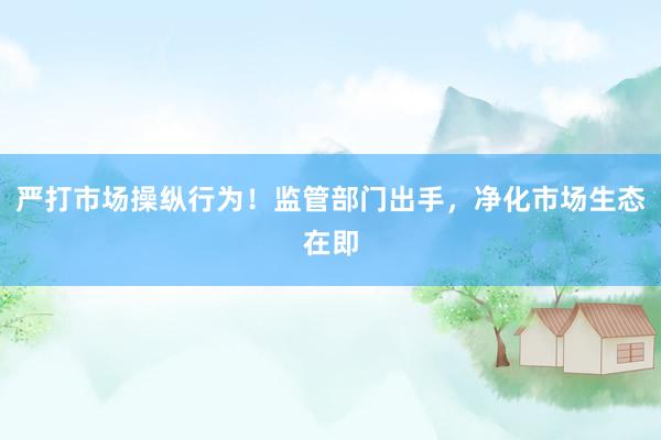 严打市场操纵行为！监管部门出手，净化市场生态在即